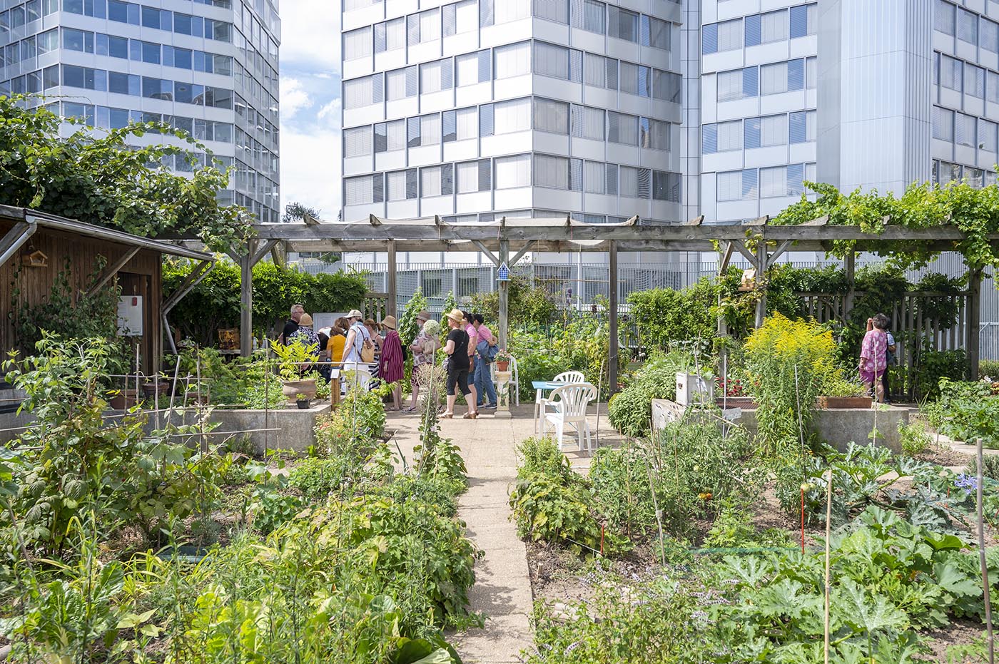 Jardin partagé du Pont-de-Sèvres