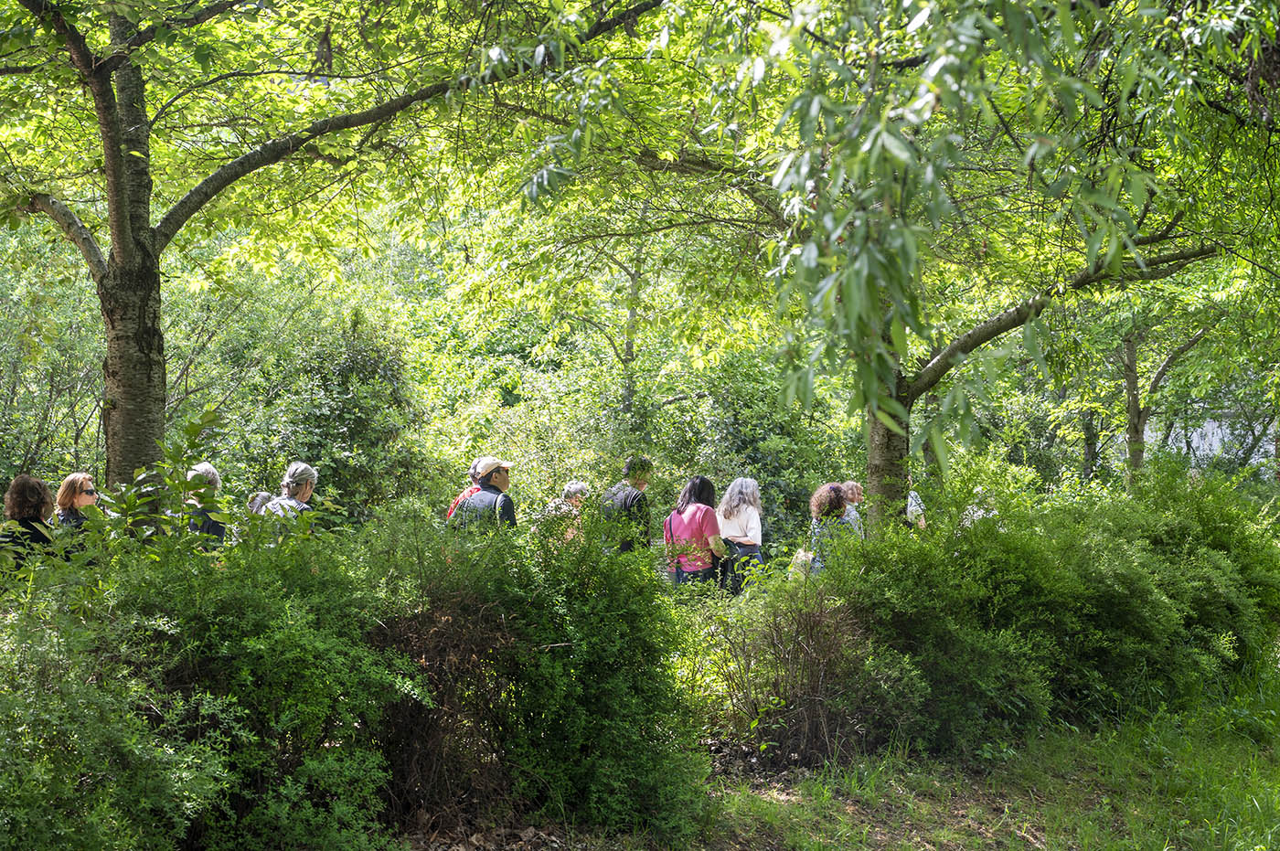 ecoquartier du Trapèze