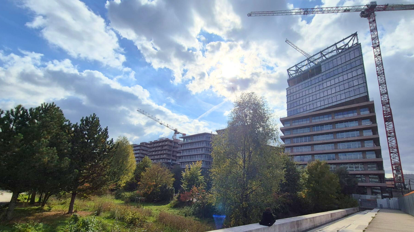 Chantier D5 - octobre 2025