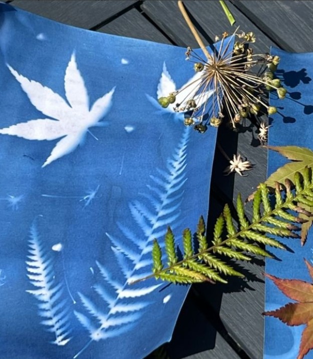 cyanotype