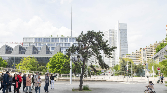 Photo VDSA - A. Sidoli