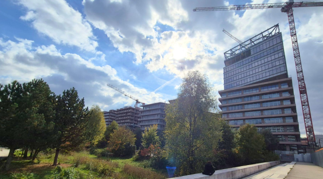 Chantier D5 - octobre 2025